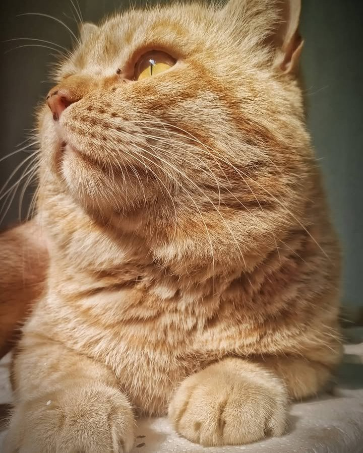 AoniMation tweet media