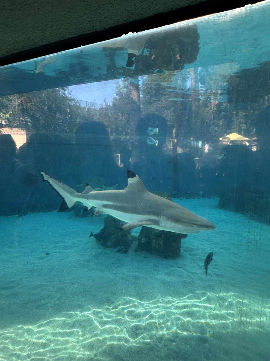 Doomguy99🍔 tweet media