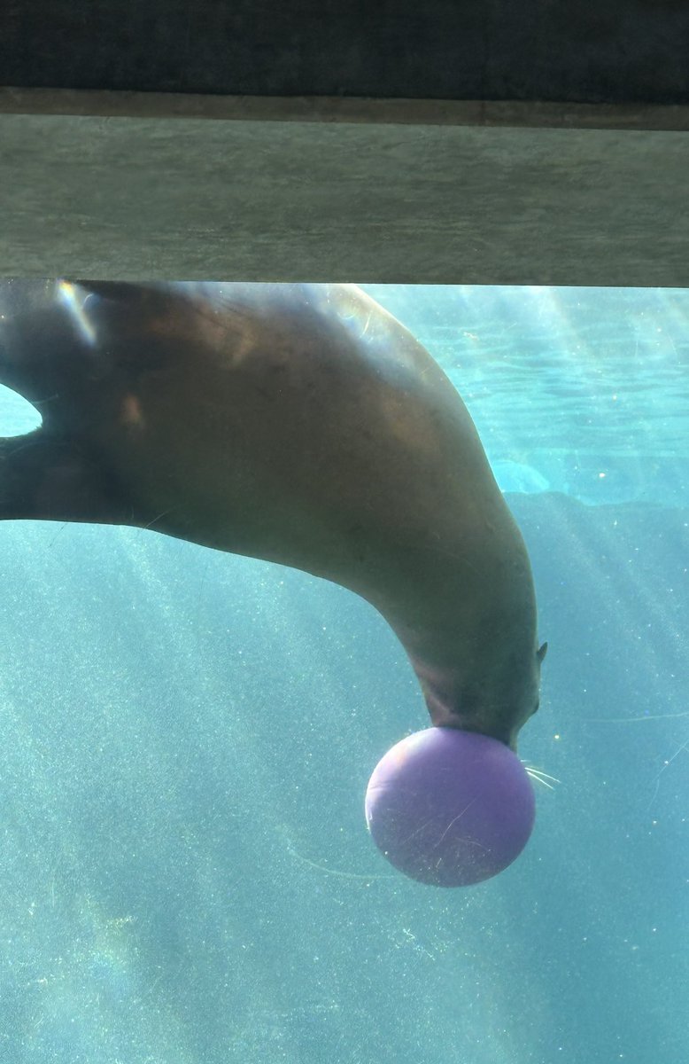 Doomguy99🍔 tweet media