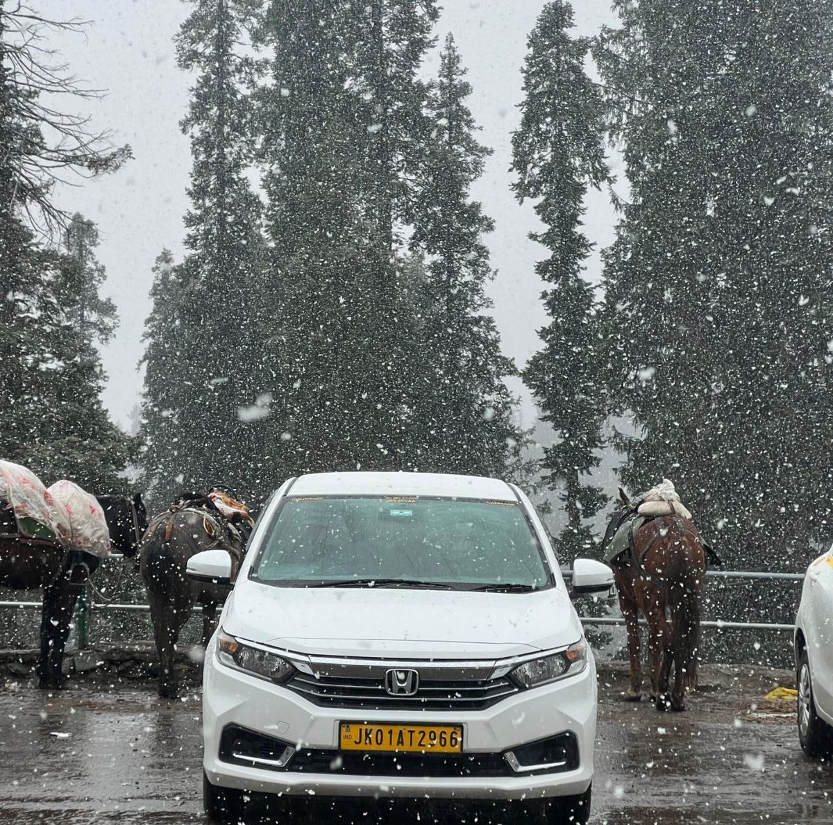 ddnewsSrinagar's tweet image. Fresh snowfall blankets Doodhpathri in Budgam, turning the meadow white again as temperatures dip across parts of Kashmir. 

#Doodhpathri #Budgam #Snowfall

@diprjk
