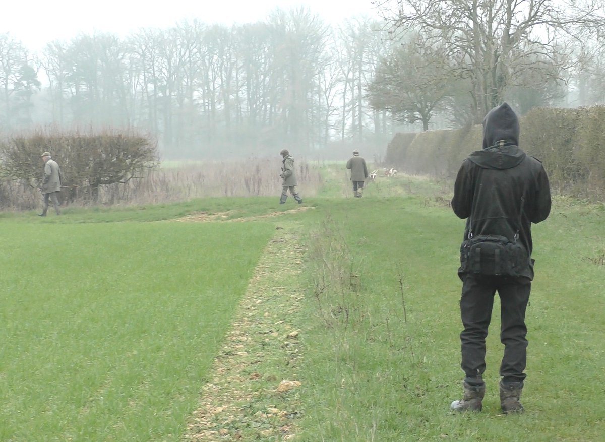 Severn Vale Hunt Sabs tweet media