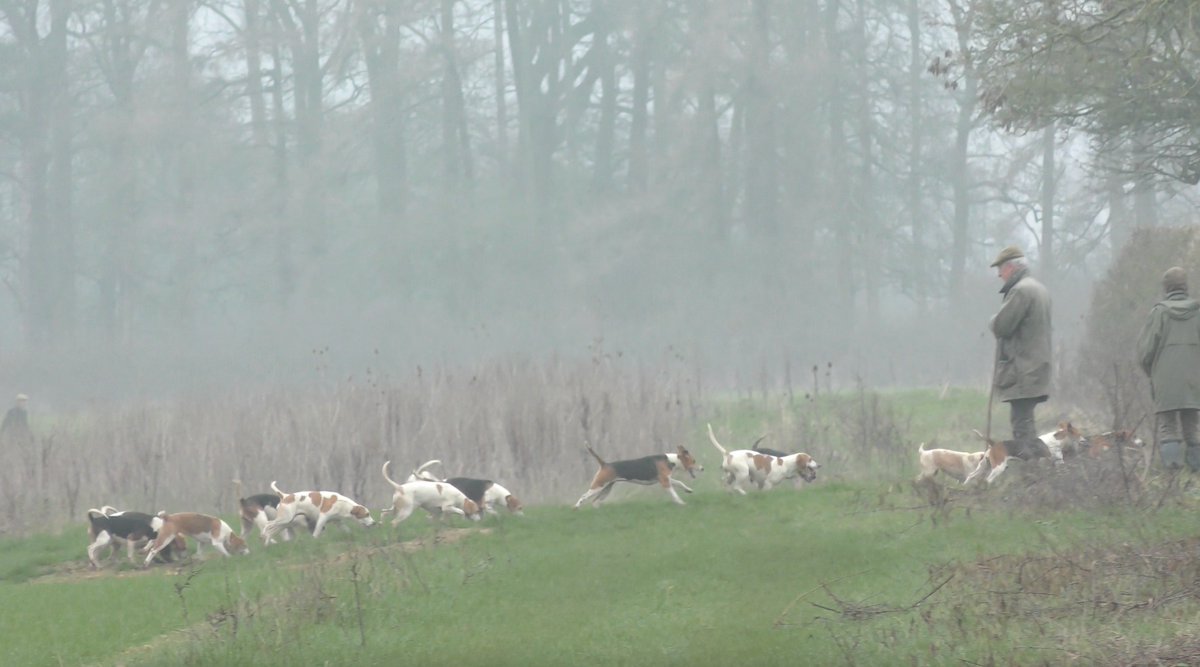 Severn Vale Hunt Sabs tweet media