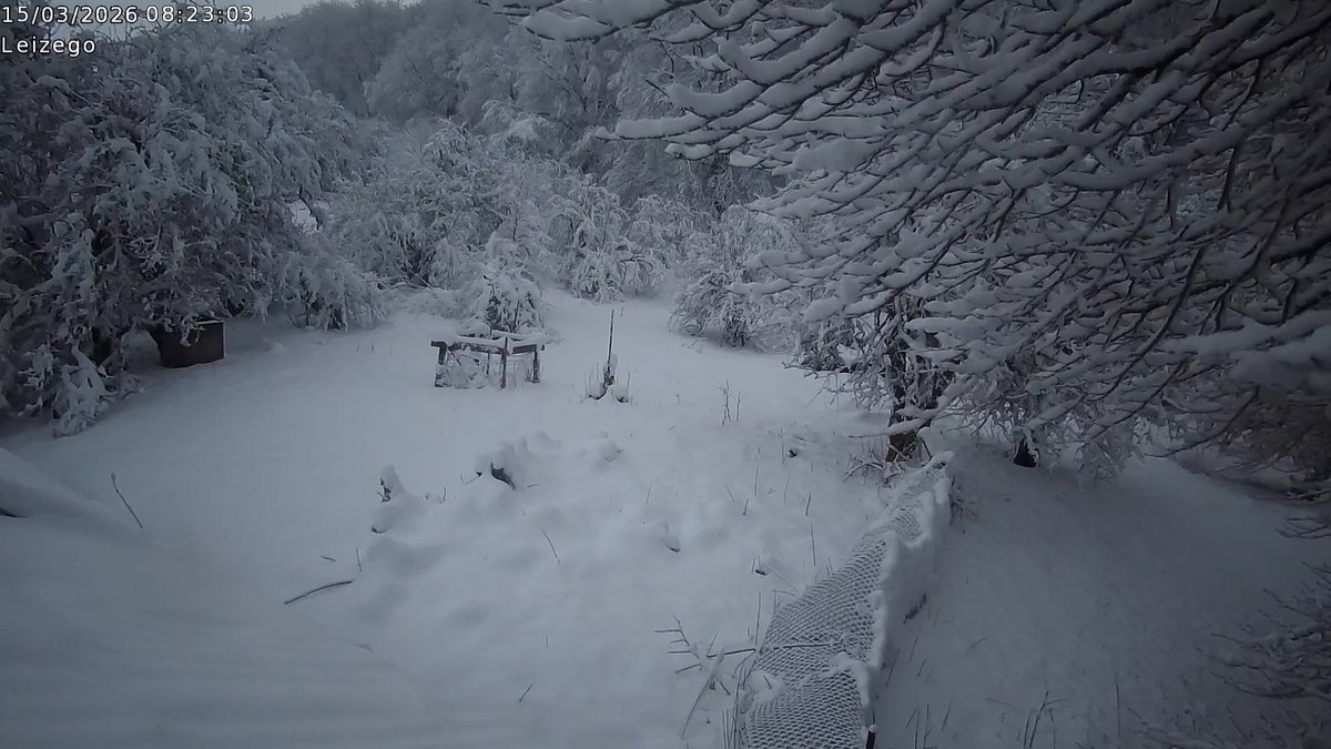 iñaki lizarraga tweet media