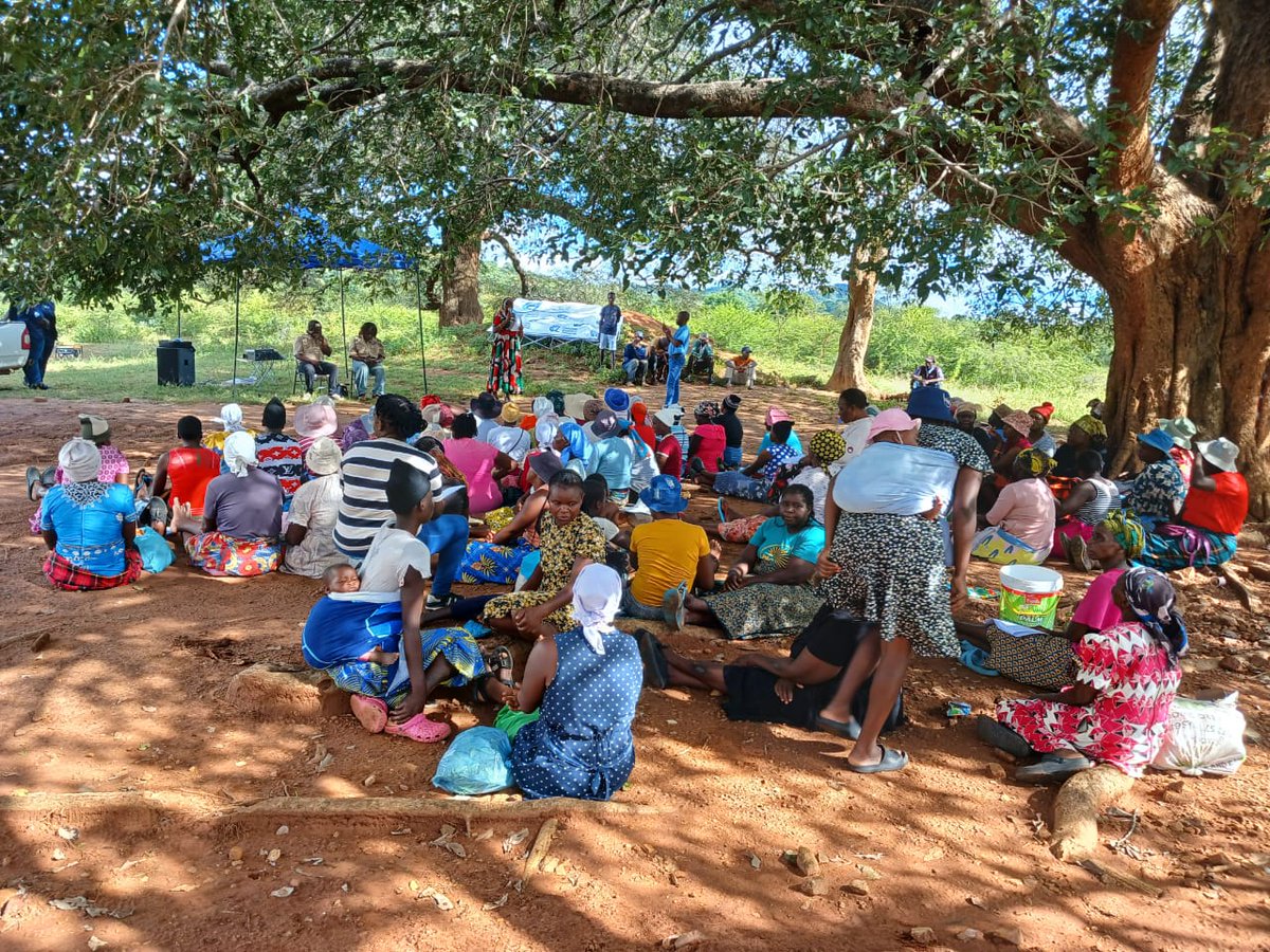 Consumer Council of Zimbabwe tweet media