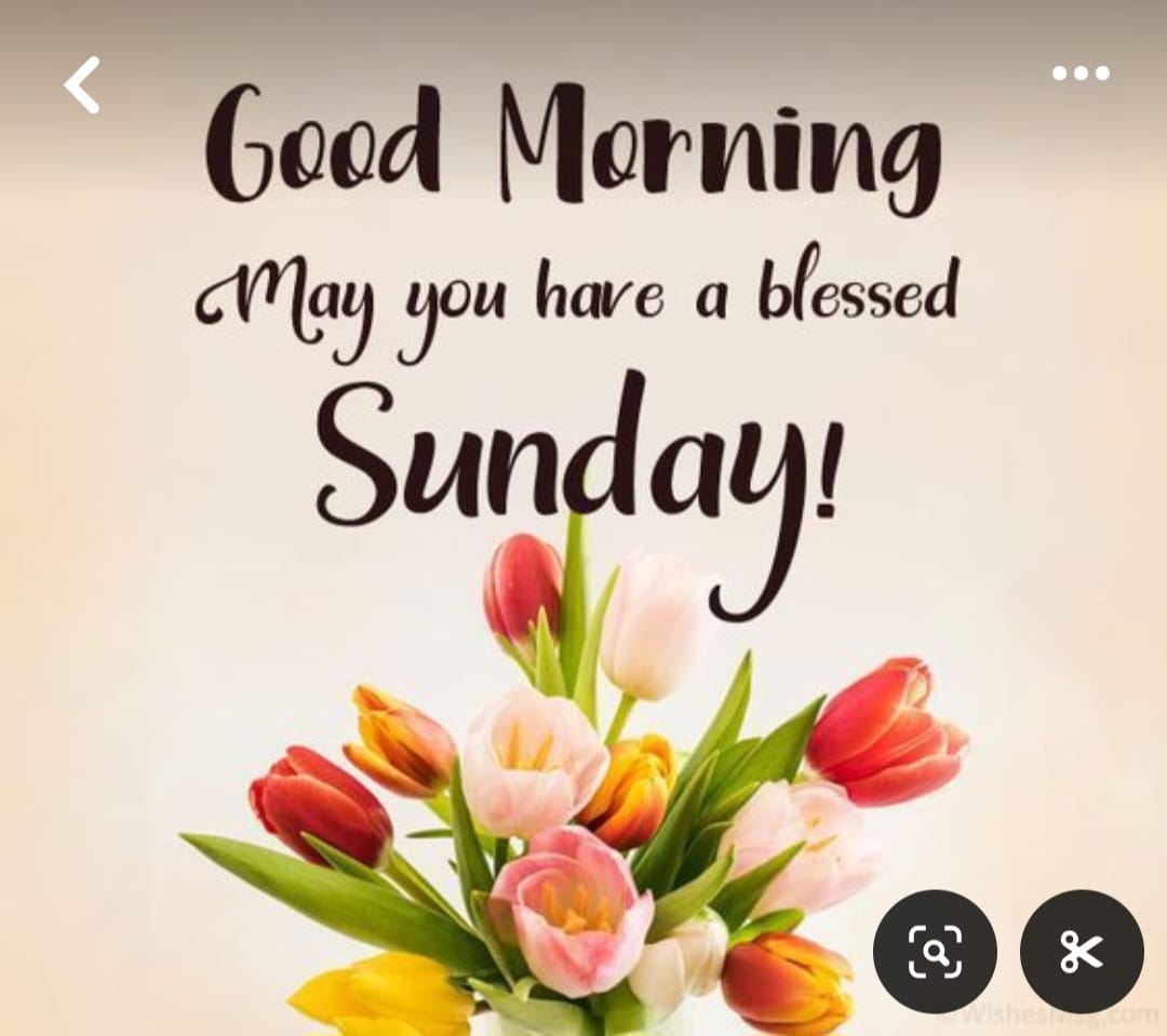 SANDRAGOGGLEBOX 👁 tweet media