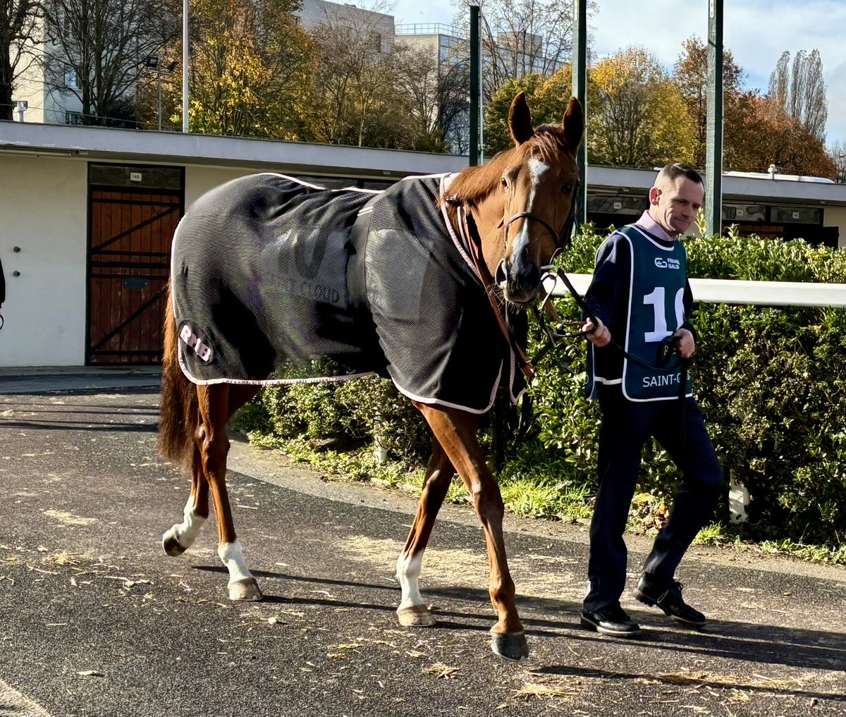 Dave Arthur tweet media