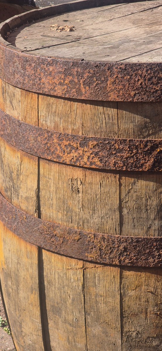 shenanigans tweet media