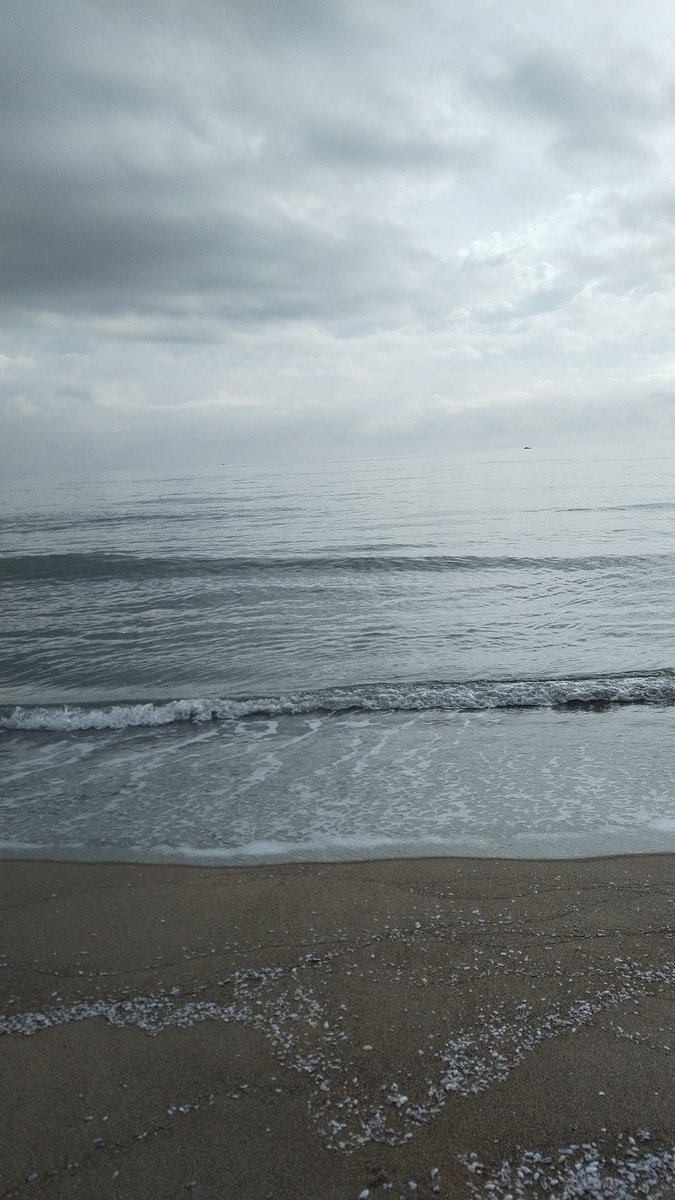 ghirigoro rogighiro  tweet media