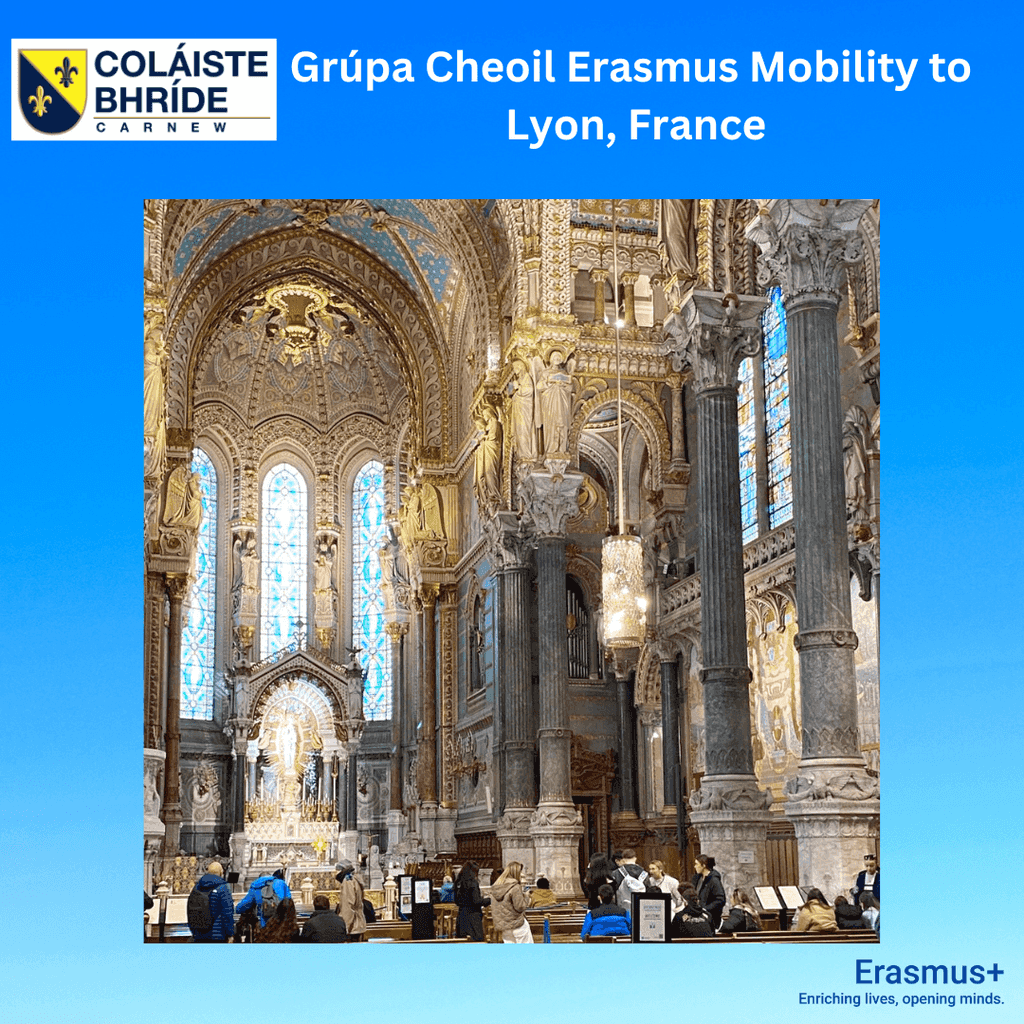 Coláiste Bhríde tweet media