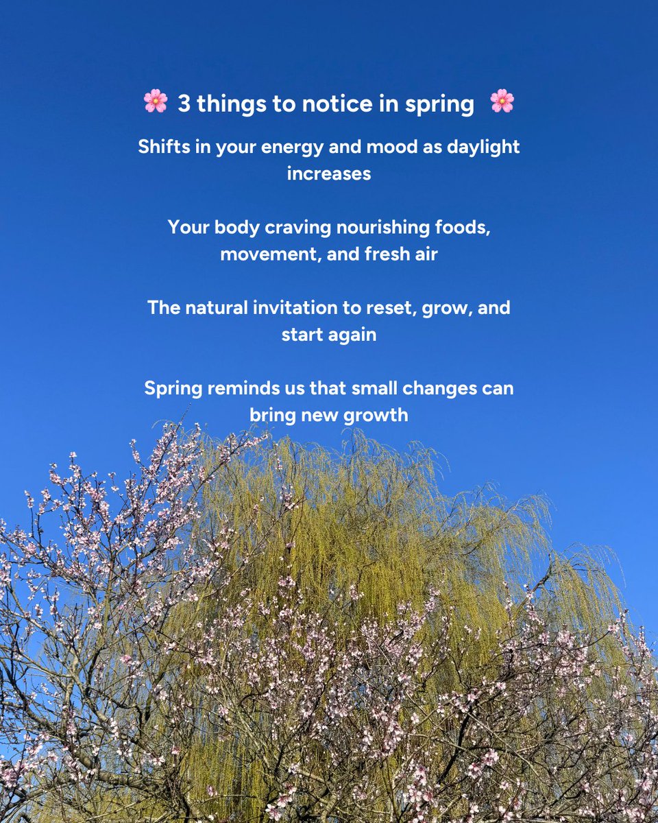 Therapy Directory | Discover Holistic Therapies tweet media