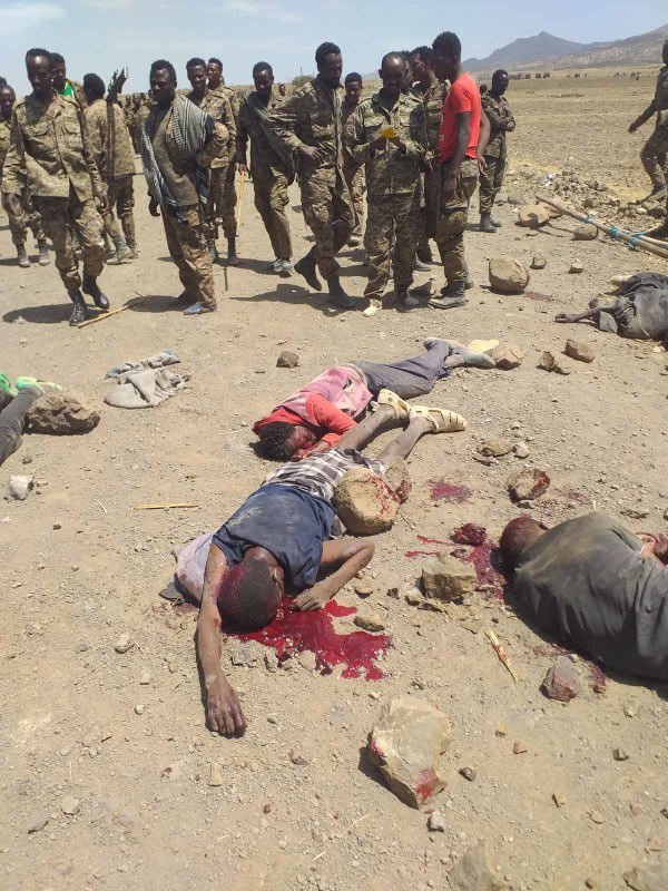 solomon23589694's tweet photo. @RobelYeshitla No one had seen slaughtered civilians in Sudan by butchers but in Ethiopia seen more than ones.
These are the so called human in your country . https://t.co/spEMKxjVB1