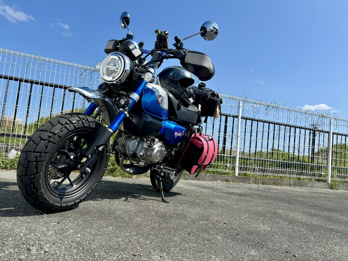 やまこ tweet media