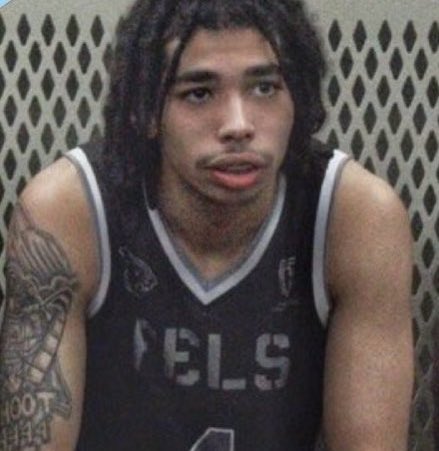 Wild Videos tweet media