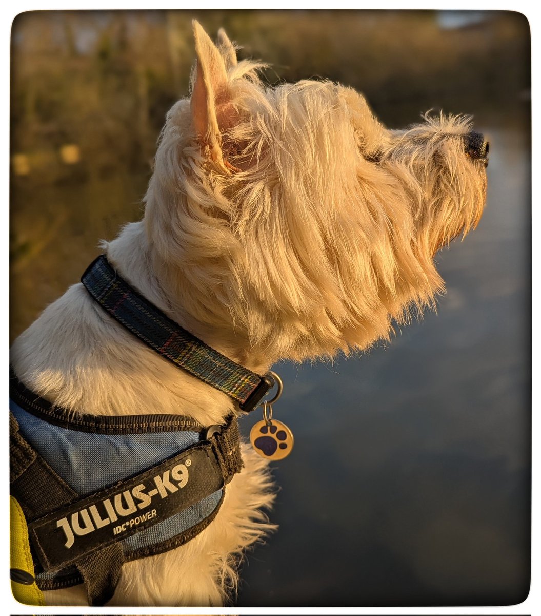 suzanne masters tweet media