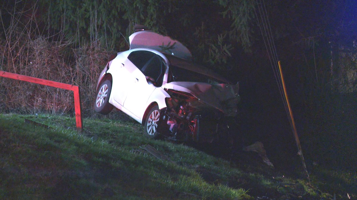 Travis P tweet media