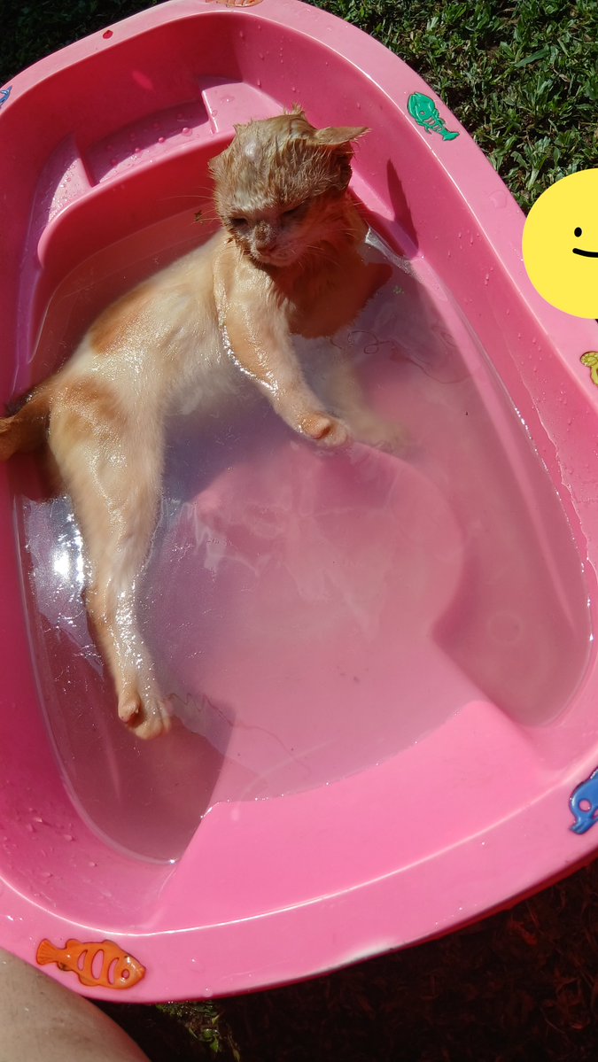 panggil aja ucok tweet media