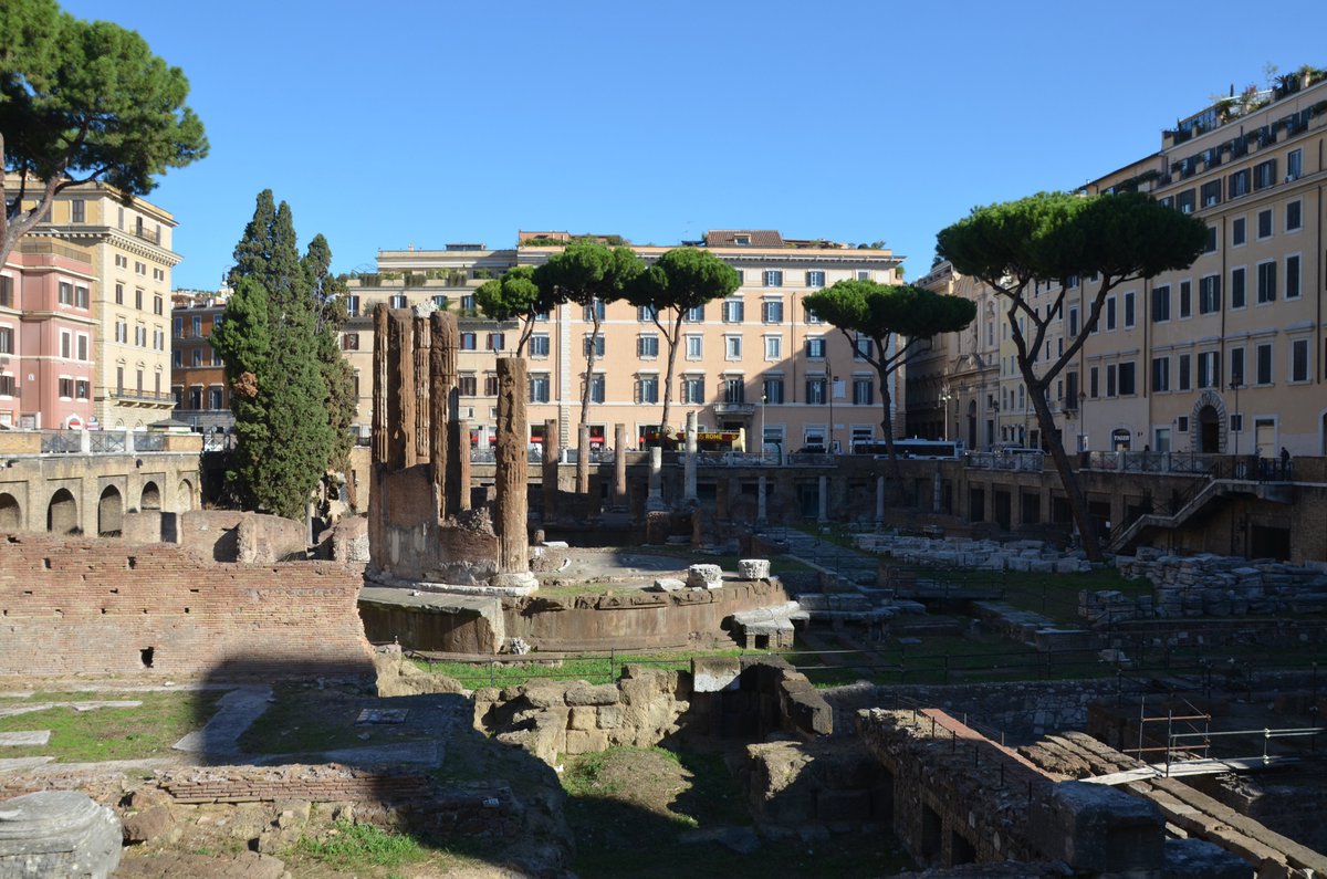 Following Hadrian tweet media