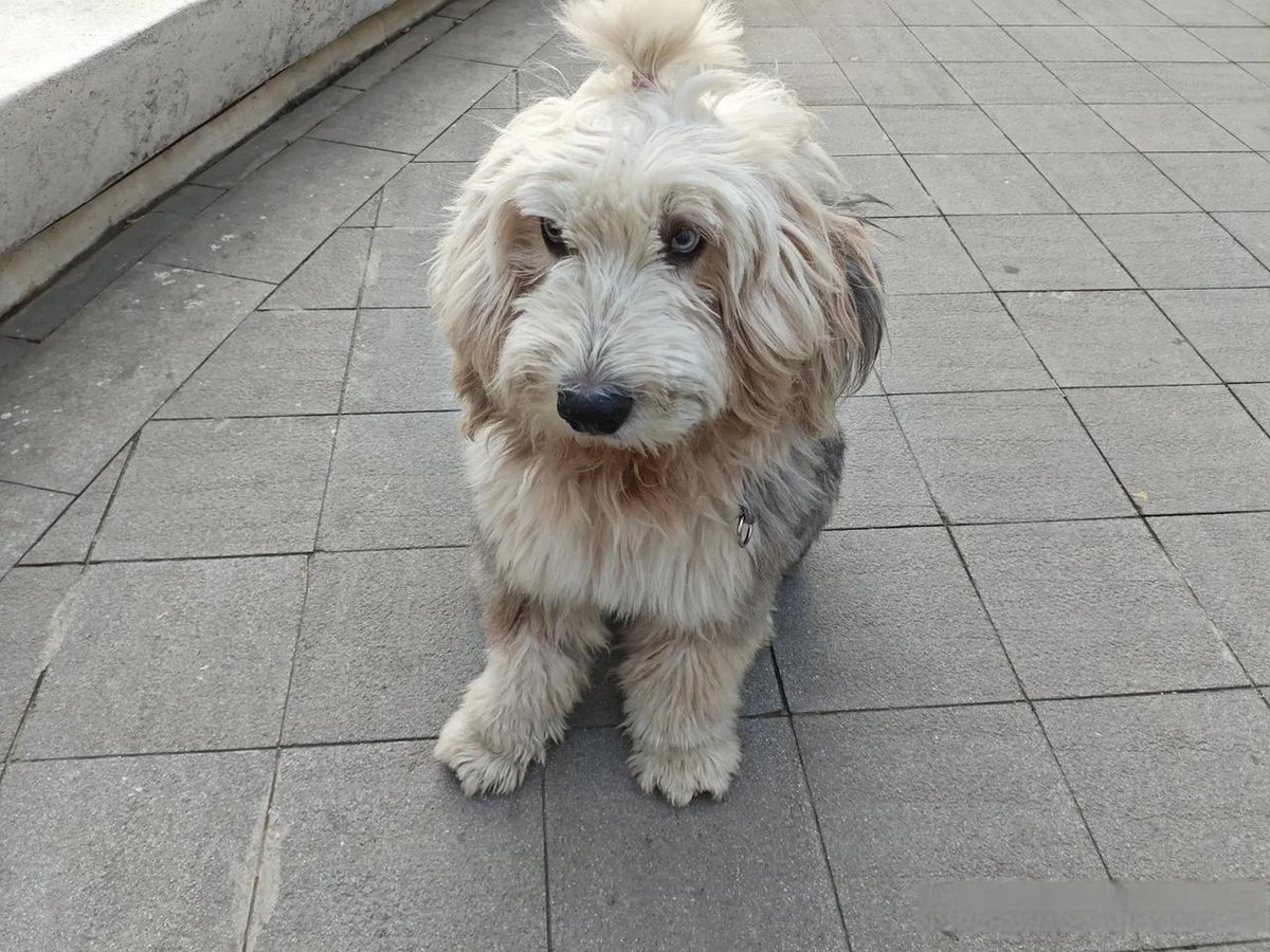 Slnguiraity Reesrach tweet media