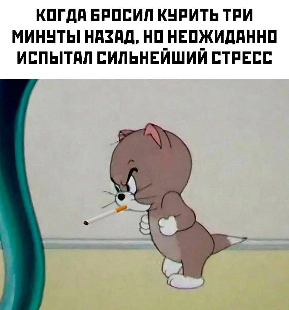 прётолик tweet media