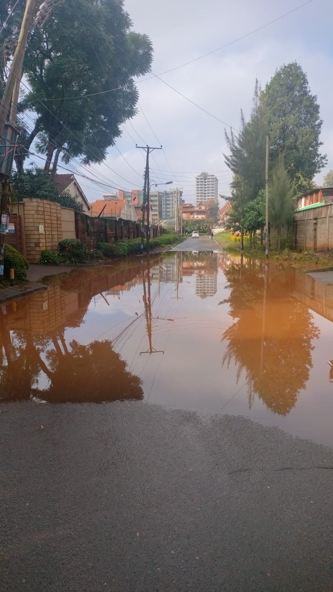 wananchi tweet media