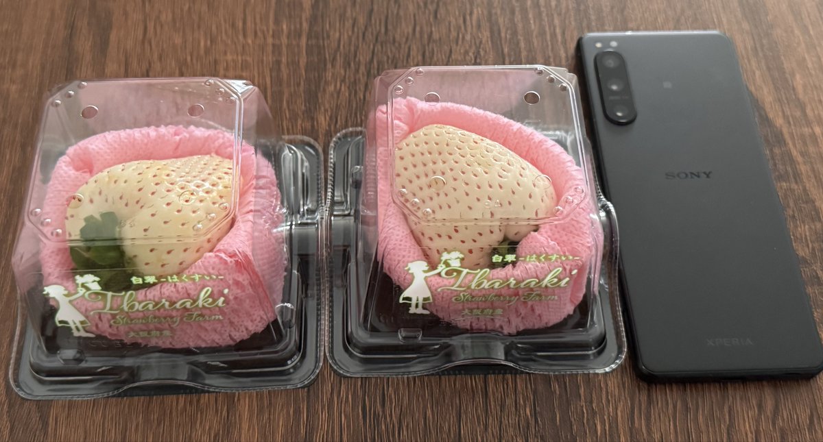 実家からいちごもらってきた〜🍓
めちゃでか白いちご🫶
ここの苺甘くてほんと美味しい🥰