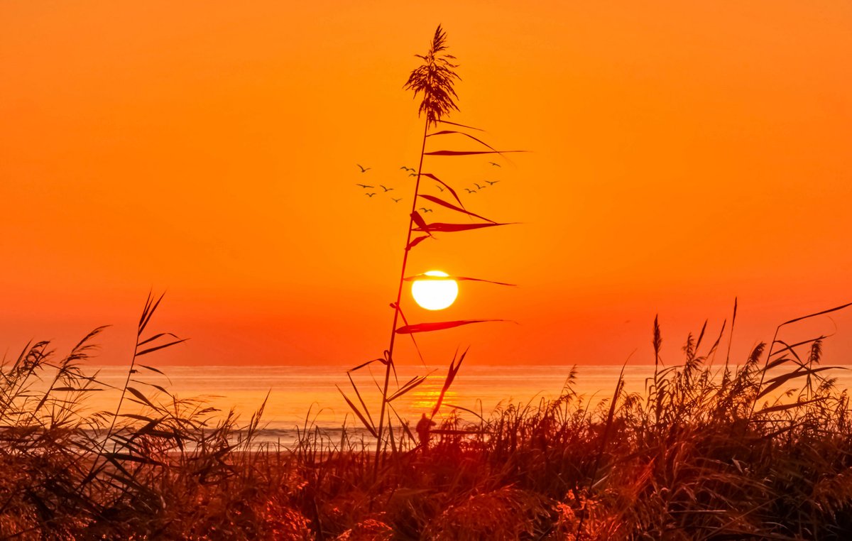 Álex Muñoz 💯 🧡 tweet media