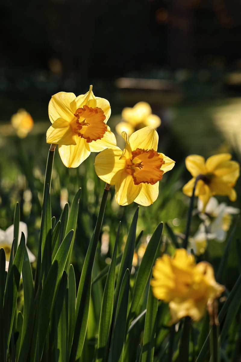 William Hulbert Photography tweet media