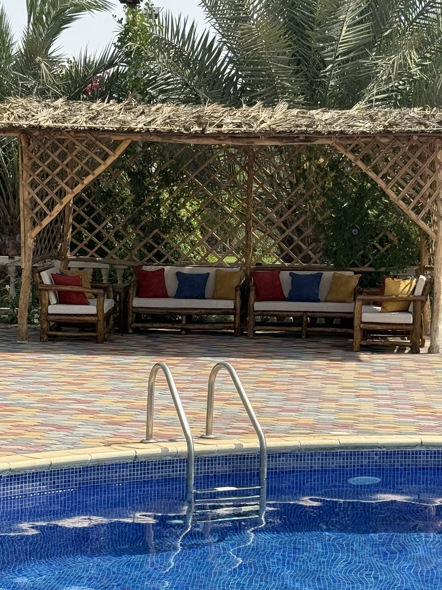 ناصر بن راشد النعيمي tweet media