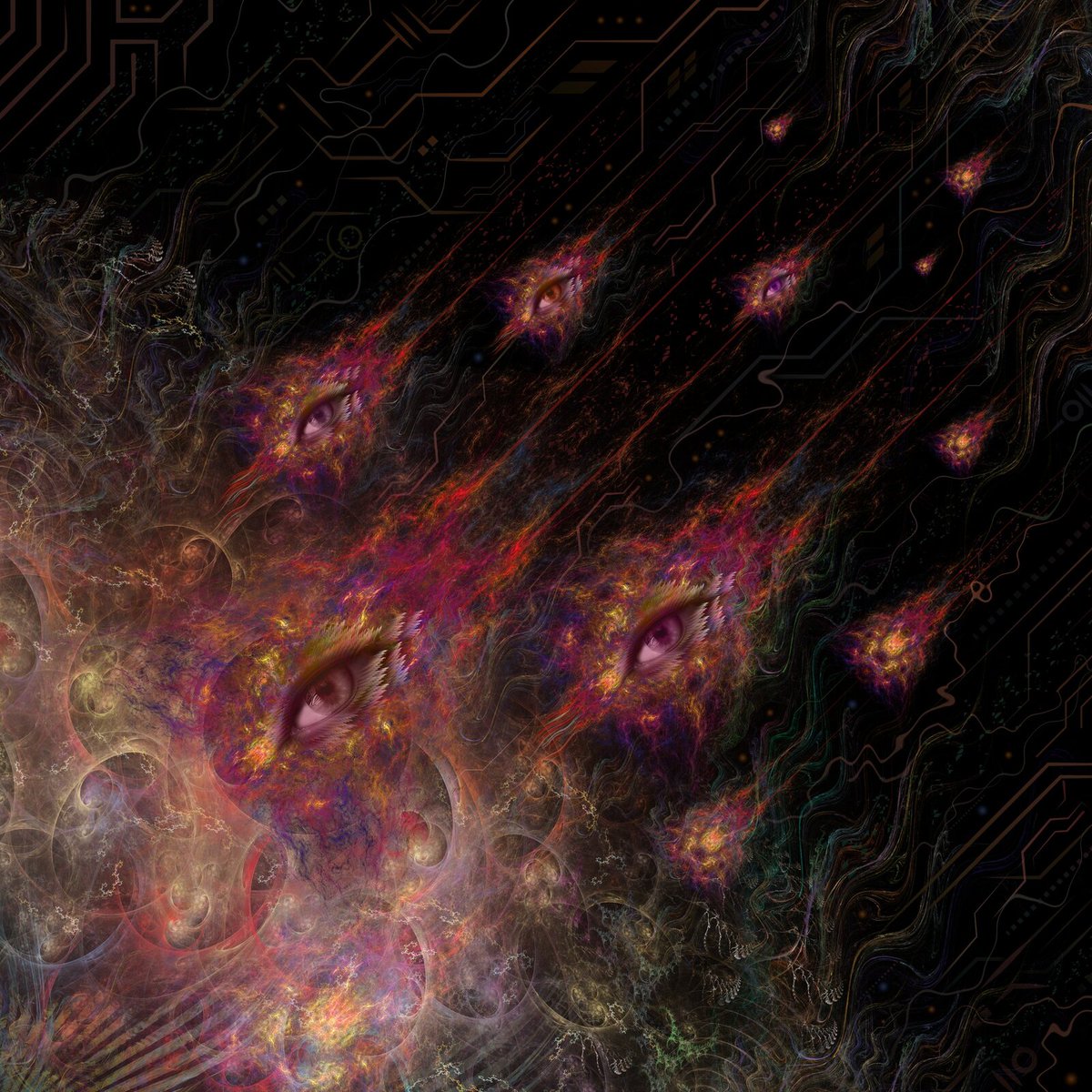 crowned dogs tweet media