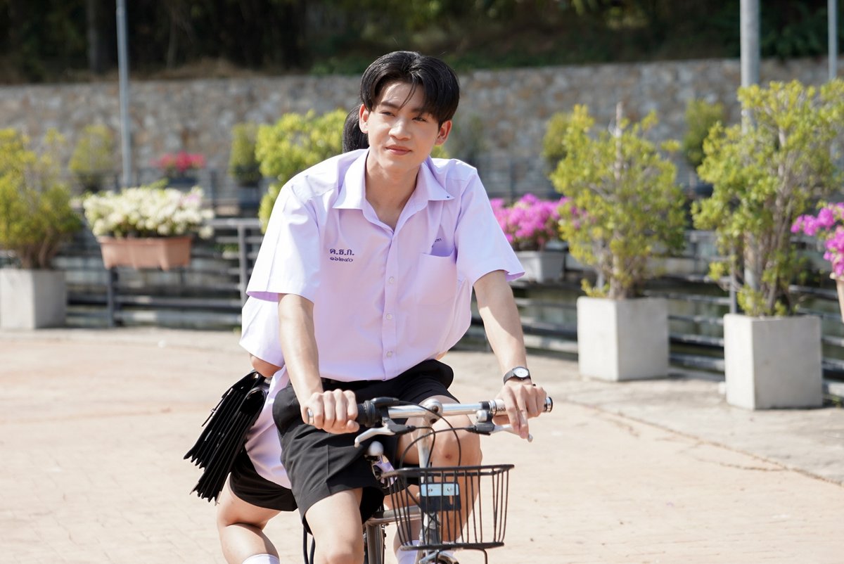 When Oranges Fall 🍊 tweet media