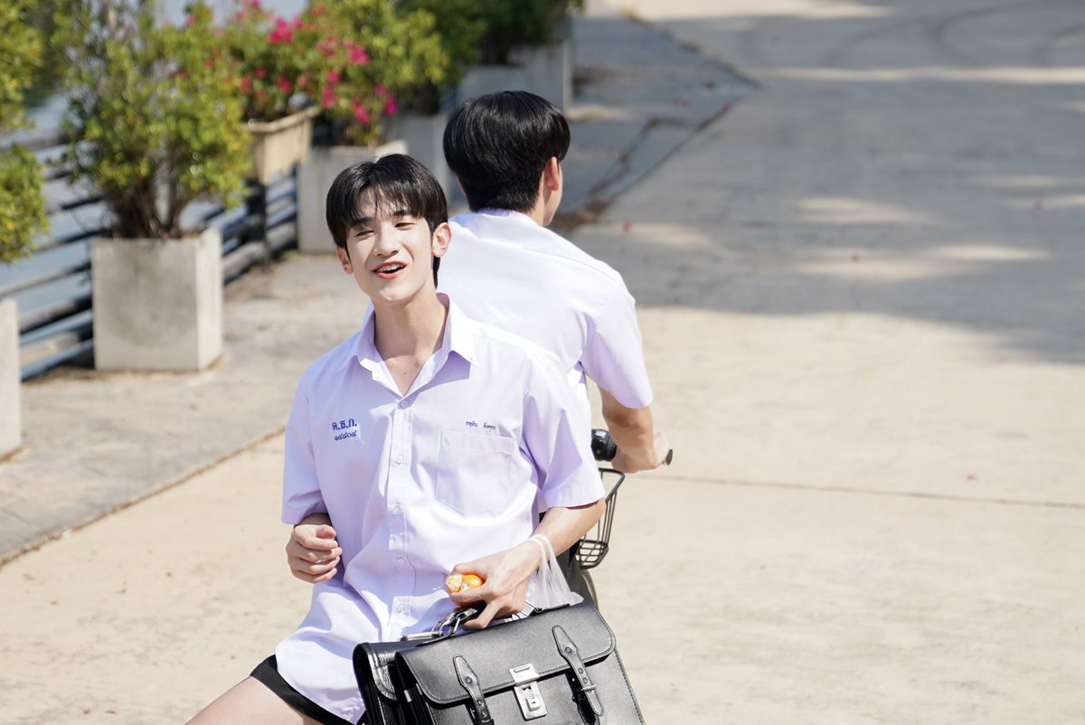 When Oranges Fall 🍊 tweet media