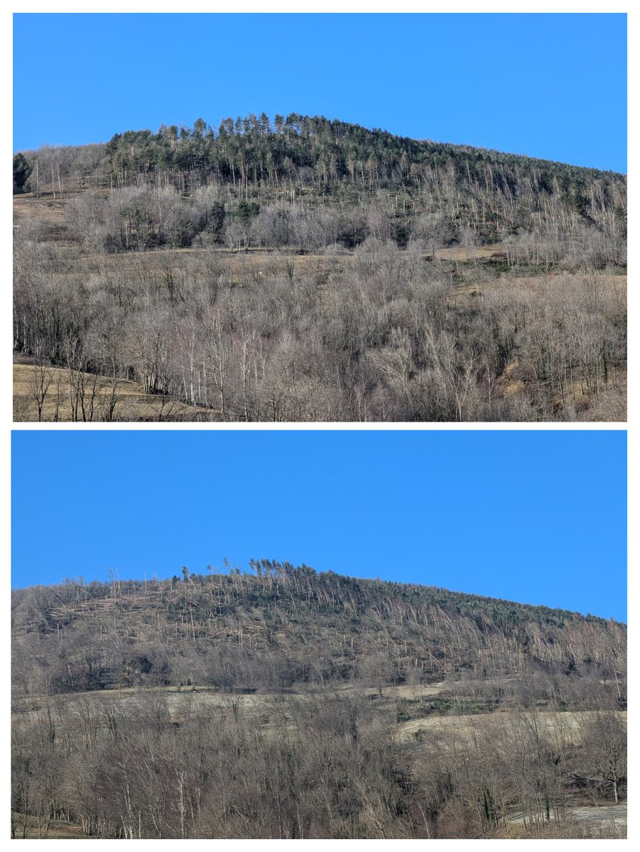 Ja tenim identificat un bosc on acaba de trencar una de les onades de vent que ens estan caient al damunt.

Vilallonga de Ter. Mig bosc arrassat. Foto d'abans i després.

Aneu amb compte si sou  fora de casa per què on cauen aquestes onades, podeu sortir volant.

Foto: Marc Solà