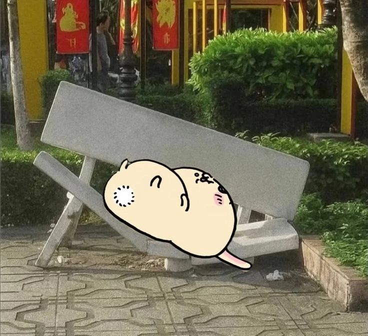 /ᐠ - ˕ -マ tweet media