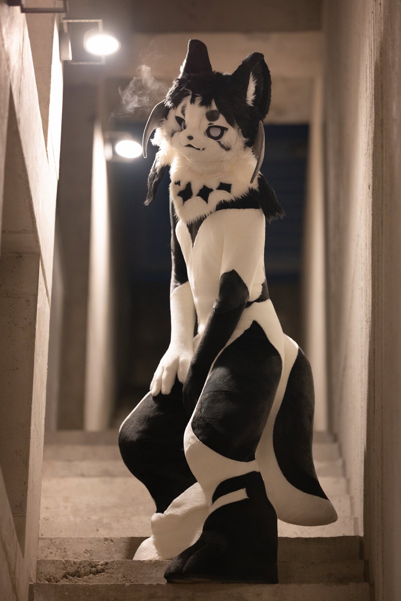 흑미🔜FurstClass tweet media