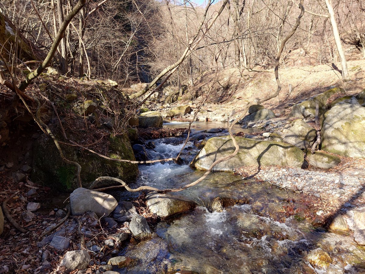 るてしよ tweet media