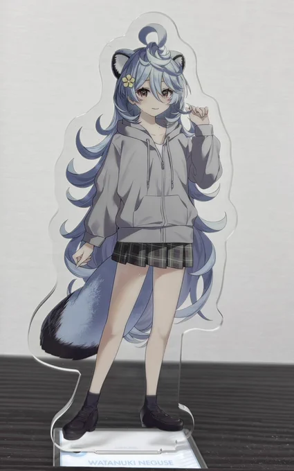 たぬパーカーとたぬちゃん届いた! イベントで着ていきたい! #ねぐさーち
