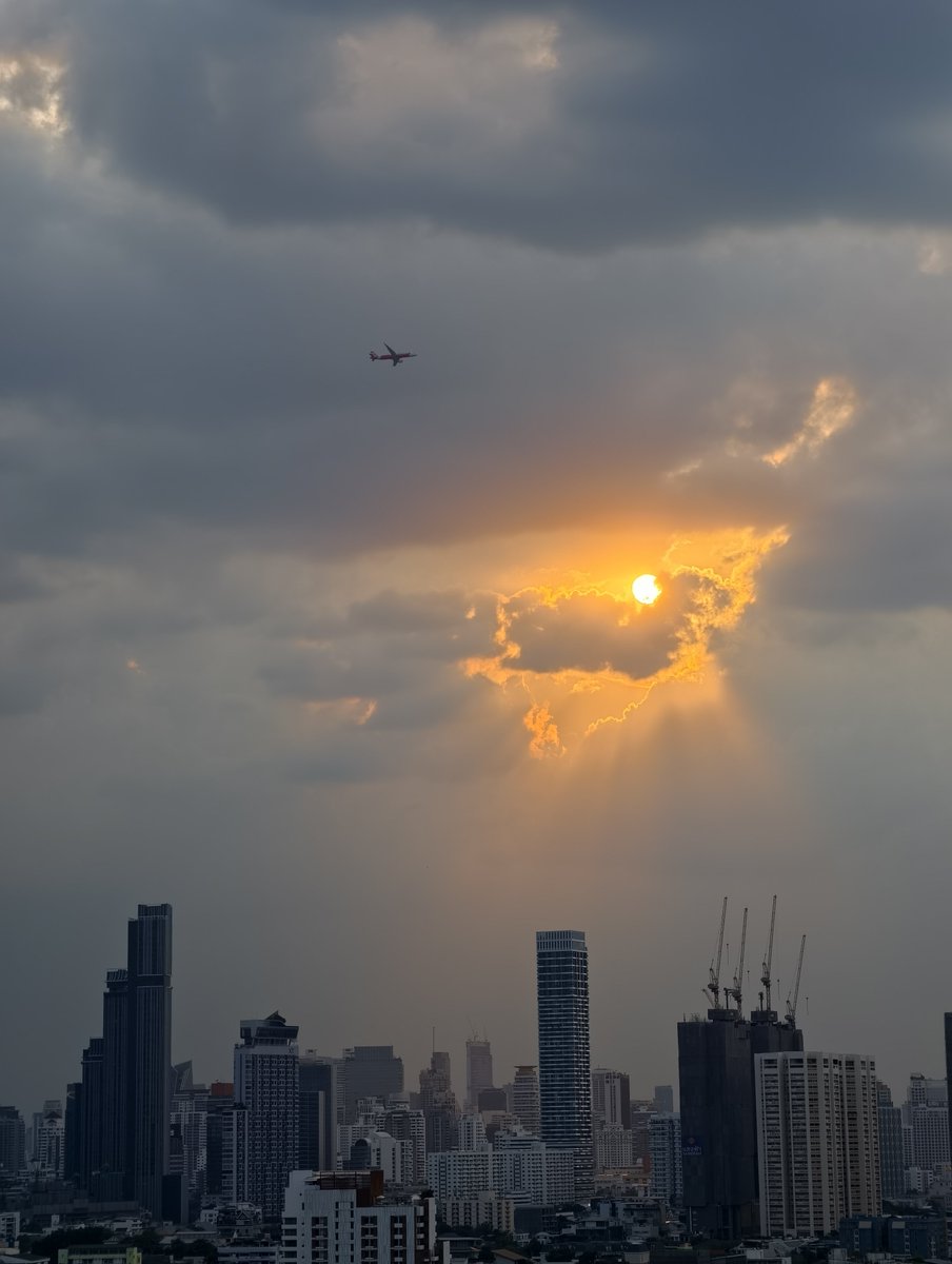 ตุ๊ดเถื่อน tweet media