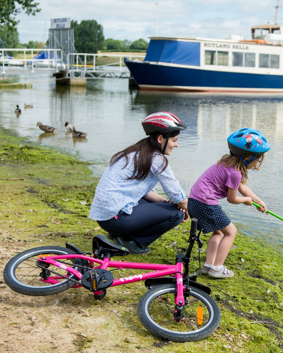 Frog Bikes tweet media