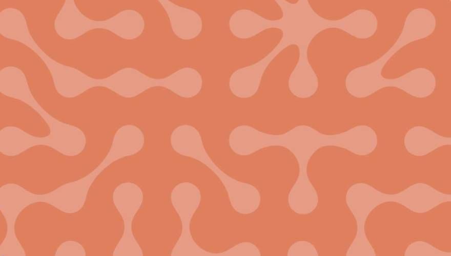 Unina Federico II tweet media