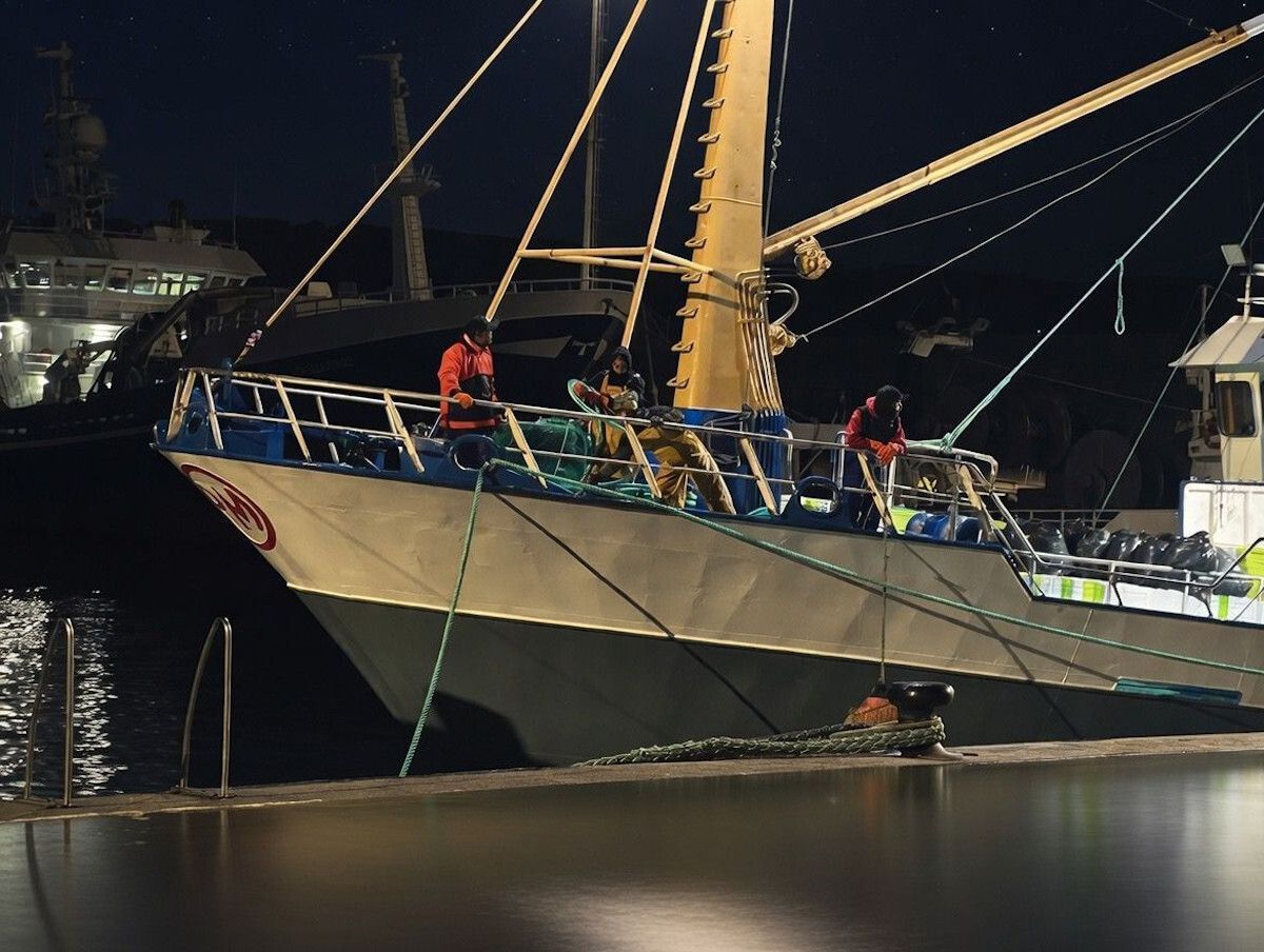 Industrias Pesqueras tweet media