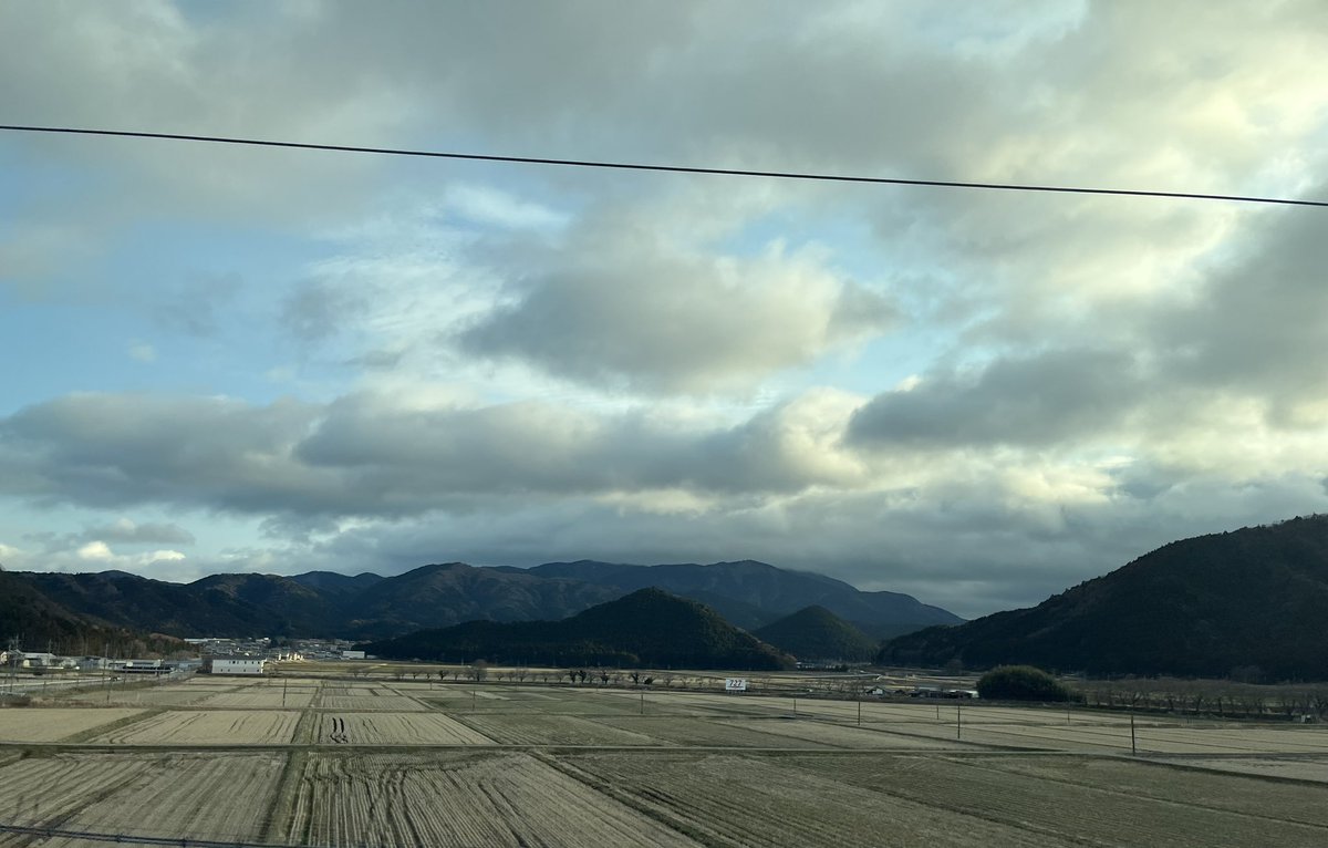 山根悟@矯正の人／背骨見続け40年 tweet media