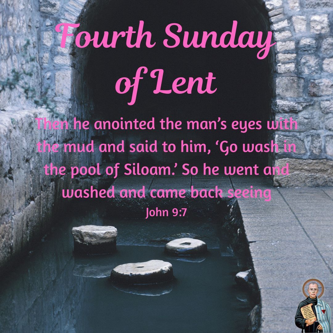 St Maximilian Kolbe tweet media