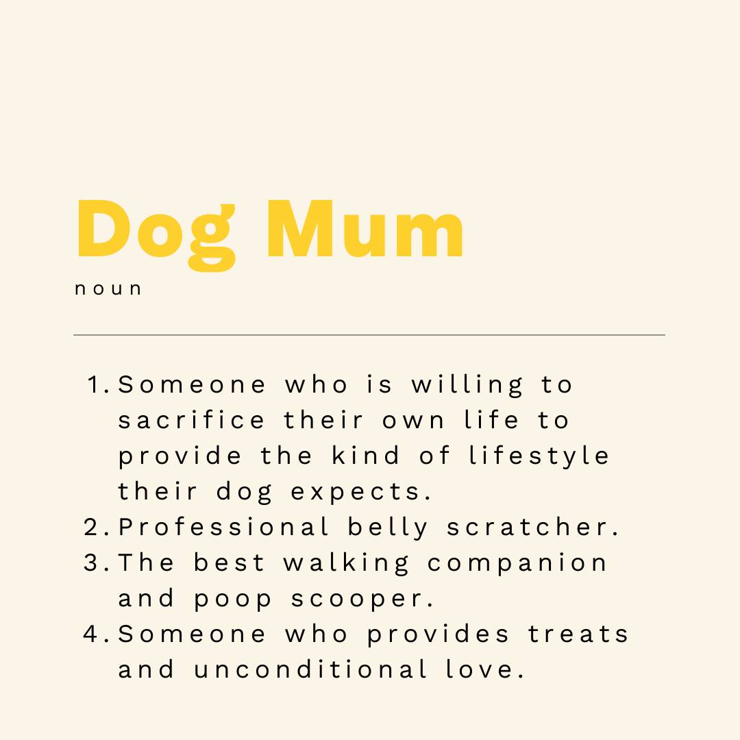 Dogs Trust 💛🐶 tweet media