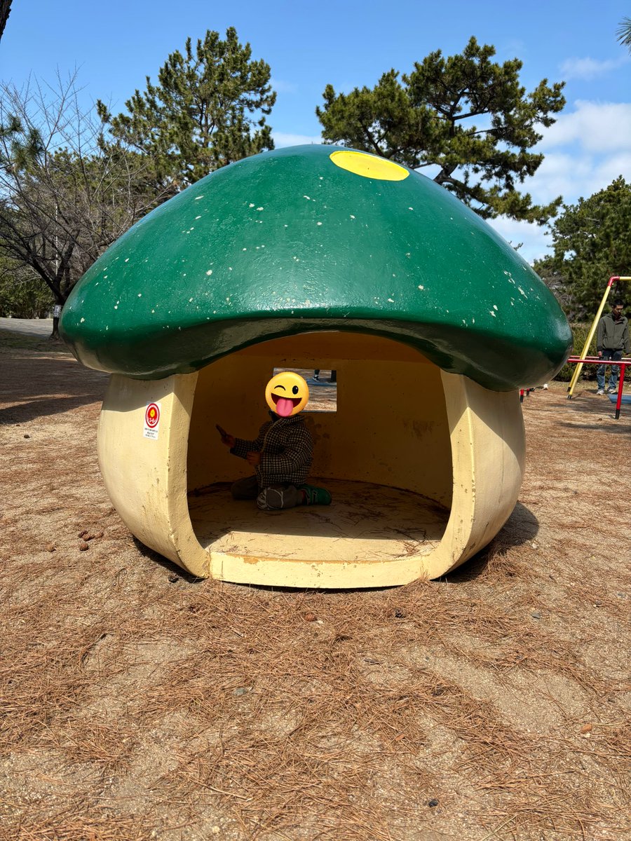 若原彩乃 tweet media