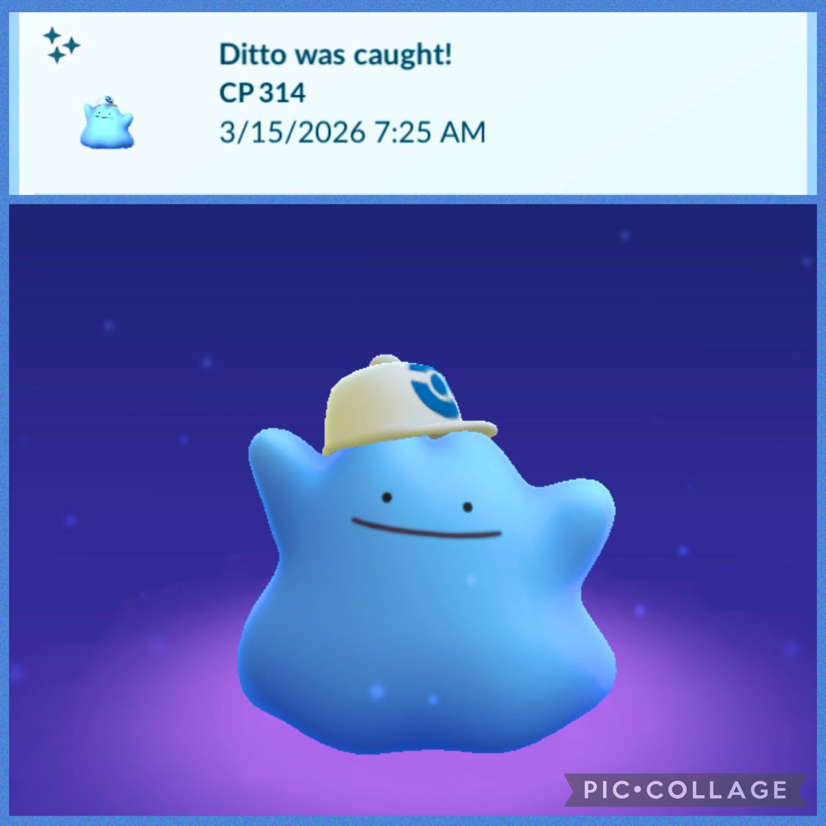 SmileThippy's tweet photo. ෆ ෆ ෆ⸒⸒⸜( ˶'ᵕ'˶)�� ☆⋆。𖦹°‧ 🩵
#ShinyDitto
#PokemonGO🧢🫶🏻 https://t.co/kRRSFCgkQk