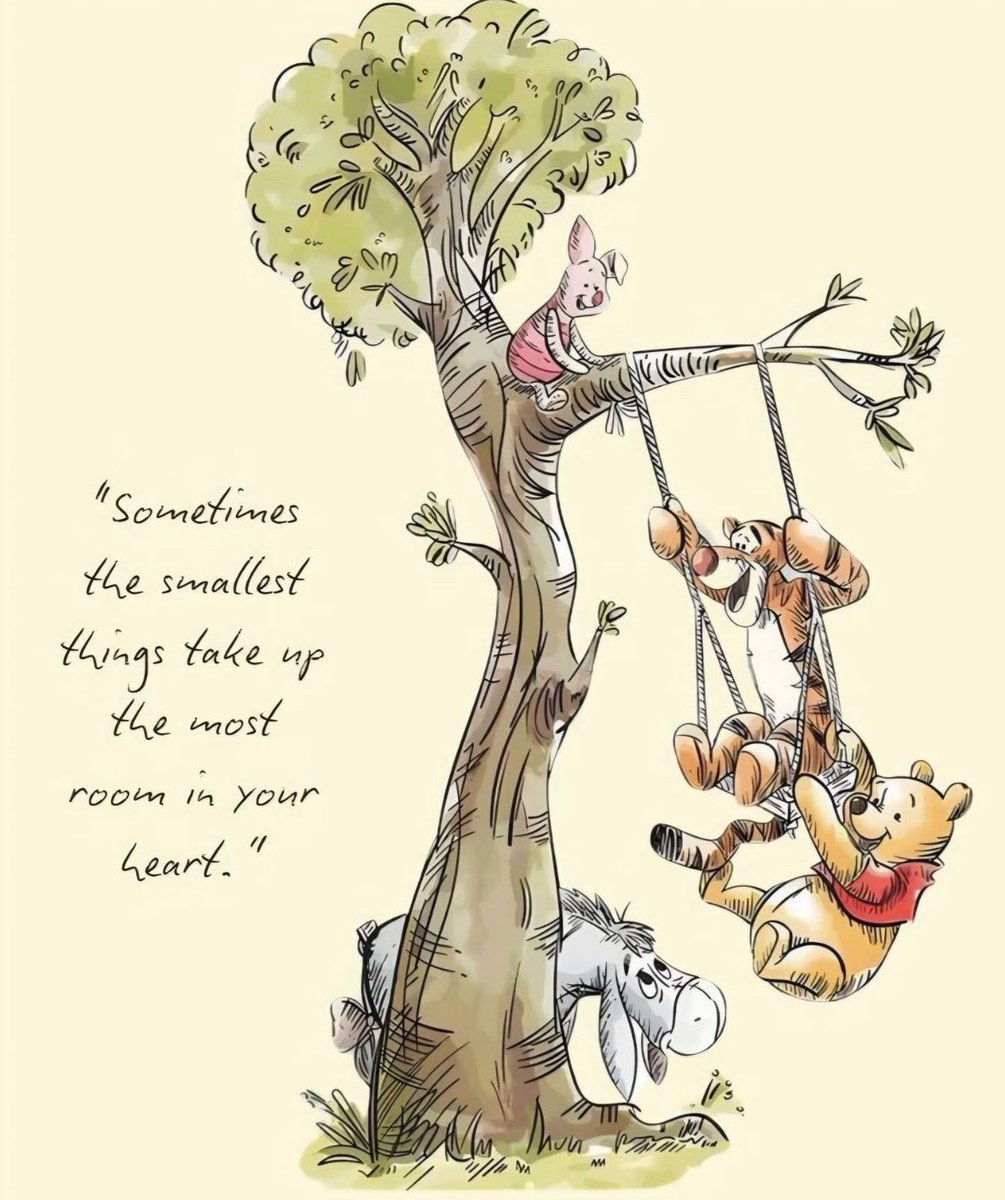 Daniela (she/her) 🇨🇦🇮🇹♉️ tweet media