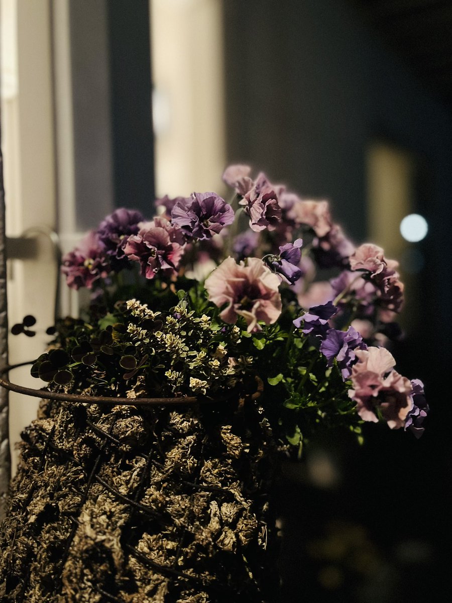 あやねぇ@ただの人 tweet media