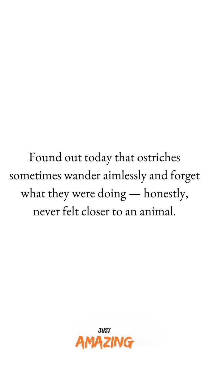 JOANNA MARIE tweet media