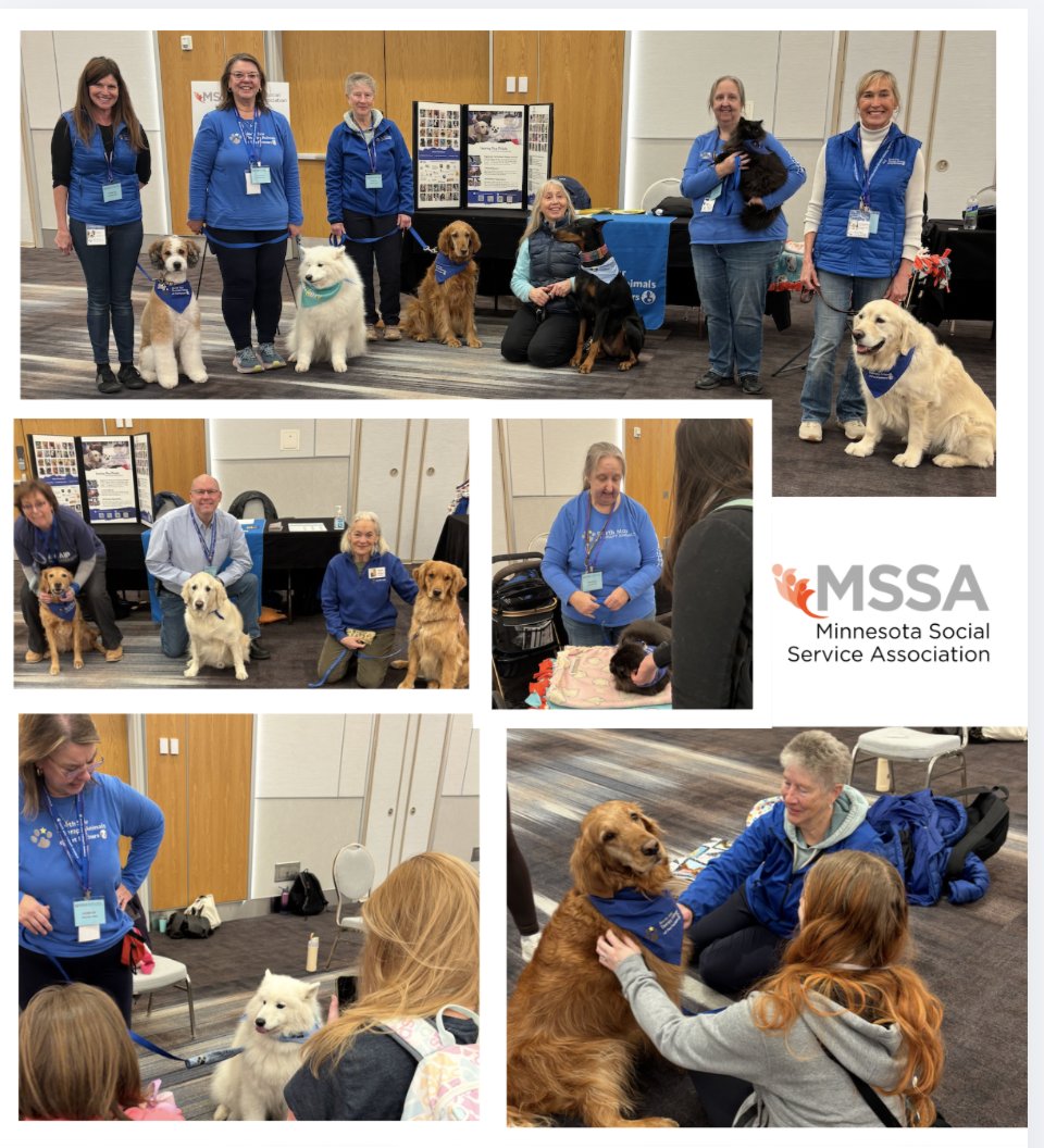 North Star Therapy Animals of Pet Partners tweet media