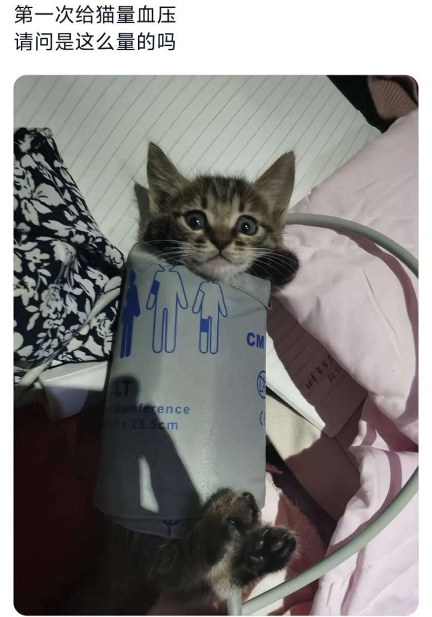 Orange Sama tweet media